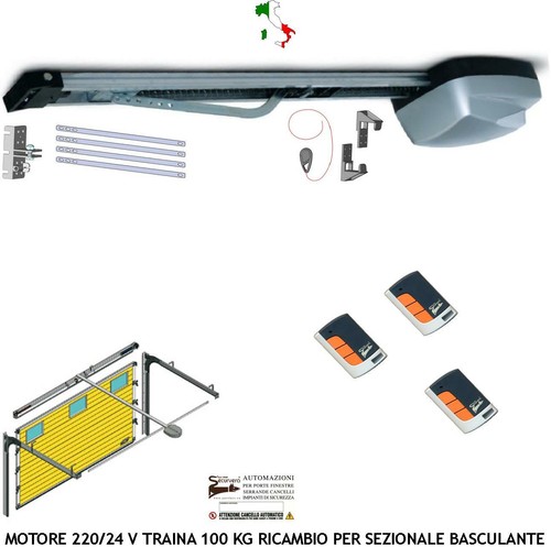Porta sezionale basculante - sezionale,
