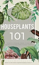 Houseplants 101: How to