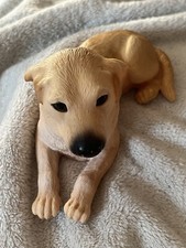 Stampo solo lattice per fare