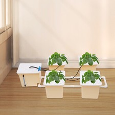 Kit Sistema di Coltivazione Idroponica 11L per Casa Indoor Sistema di Coltivazione Idroponica DHL