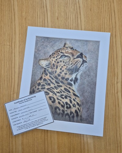 Amur leopard edizione limitata - leopard,