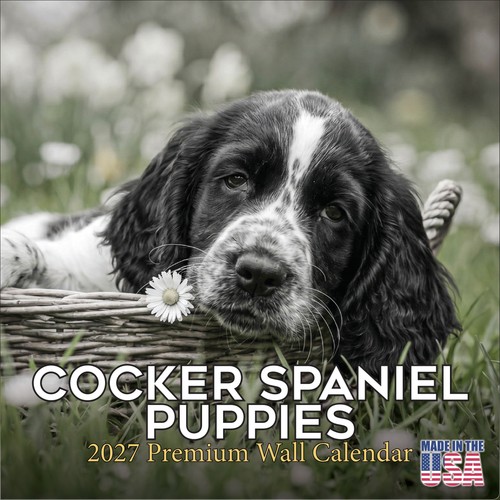Calendario cocker spaniel - calendario,