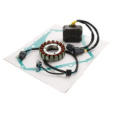 Lichtmaschine Stator  Dichtung
