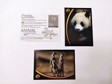 FIGURINE ANIMAL CHAMPIONS