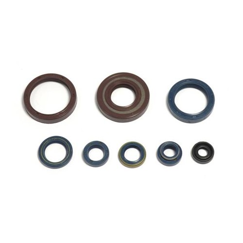 Serie paraoli motore husqvarna - motore,