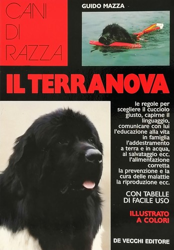 Terranova cani razza - cani,