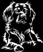 Adesivo EPAGNEUL BRETON -