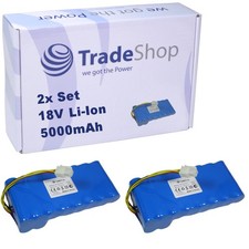 2x Batteria Li-Ion 18V 5Ah