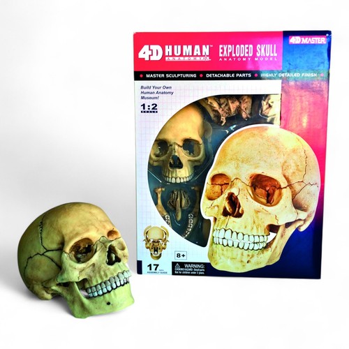 Modello puzzle master human - modello/puzzle,