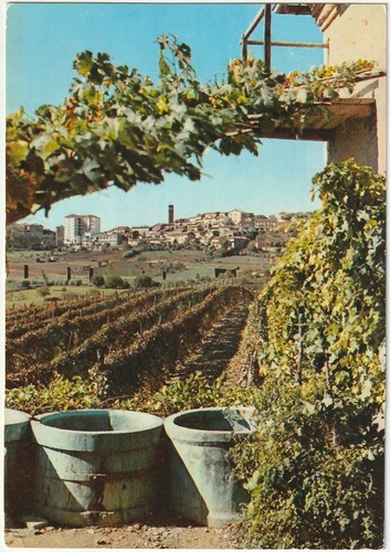 Moncalvo asti 47307 - -,