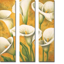 Concert de Callas 3 pezzi