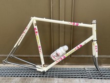 Vintage Rossin Frameset, Columbus SLX, Campagnolo 90s 56x56