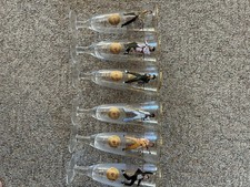 Bradford exchange edizione