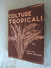 CULTURE TROPICALI VOLUME SESTO