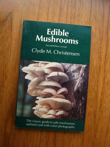 Edible mushrooms clyde - by, m