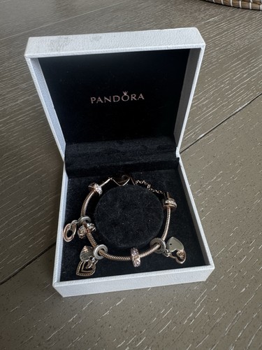 Bracciale pandora momenti - bracciale,