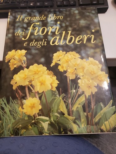 Grande libro dei - il, e