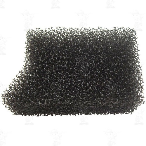 Filtro aria spugna x - in,