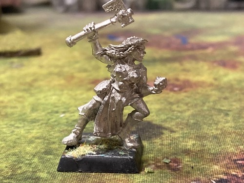 Warhammer sigmarite novice - -,