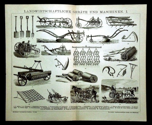 1894 stampa xilografica - 1894.stampa,