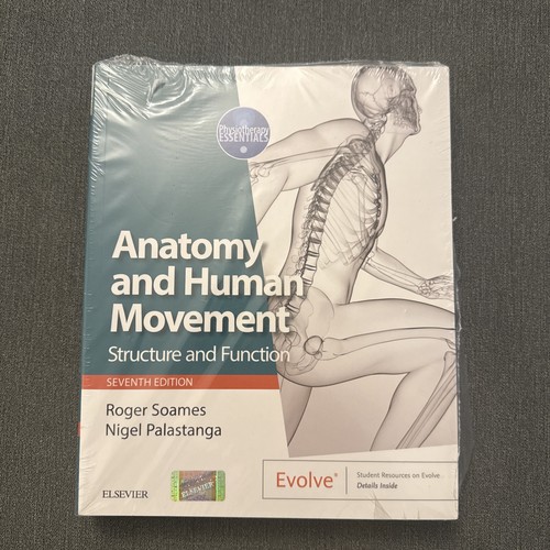 Anatomy and human - and, movement