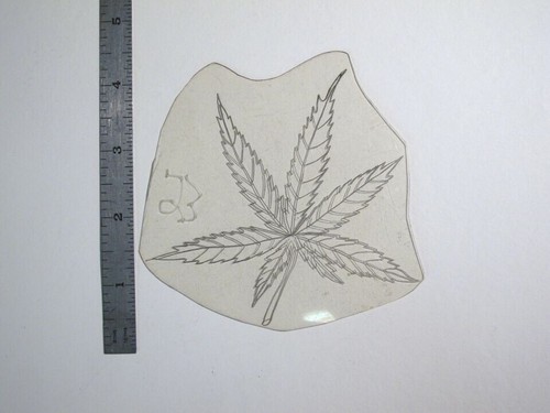 Stencil acetato flash