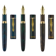 Penna stilografica Asvine