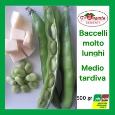 SEMI DI FAVA VARIETA "SBERLA" F.LLI ZAGARIA SEMENTI 500 GR BACCELLI LUNGHI FAVE