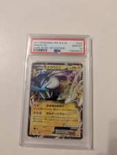 2011 Raikou Ex Dark Rush