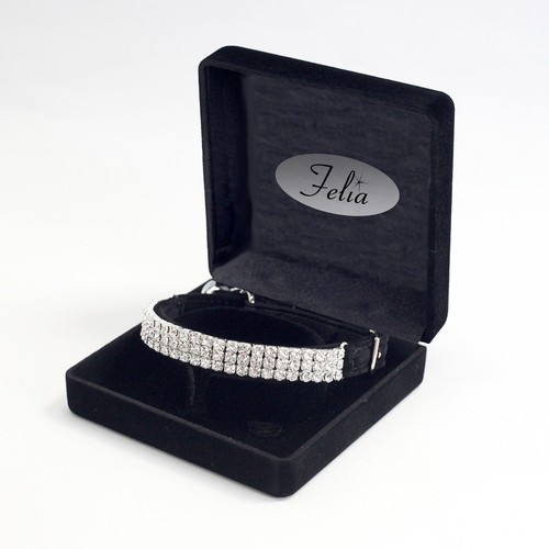 Esclusivo set collare - , gatto