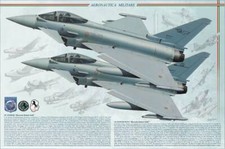 TYPHOON, 36° Stormo