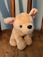 Play tive junior labrador - play,
