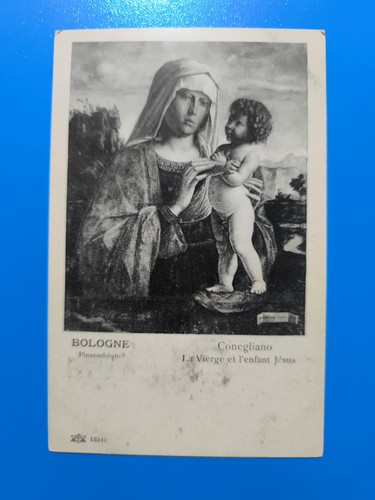 Bologna conegliano vergine - conegliano,