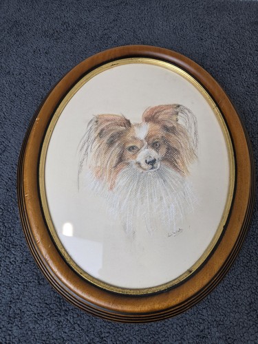 Ritratto cane papillon