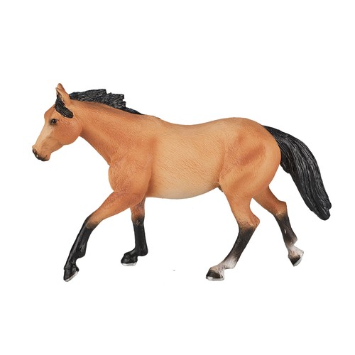 Mojo quarter horse buckskin - quarter,