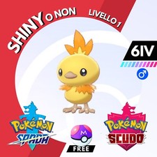 Torchic shiny non - o, e