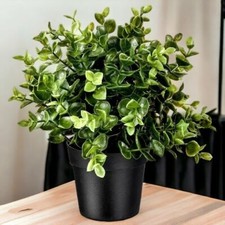 IKEA FEJKA Pianta di origano