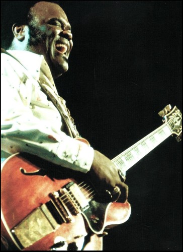Freddie king sul palco - freddie,