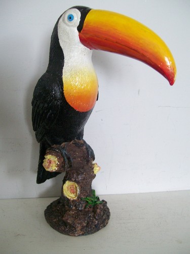 Nice toucan tree - nice, stump