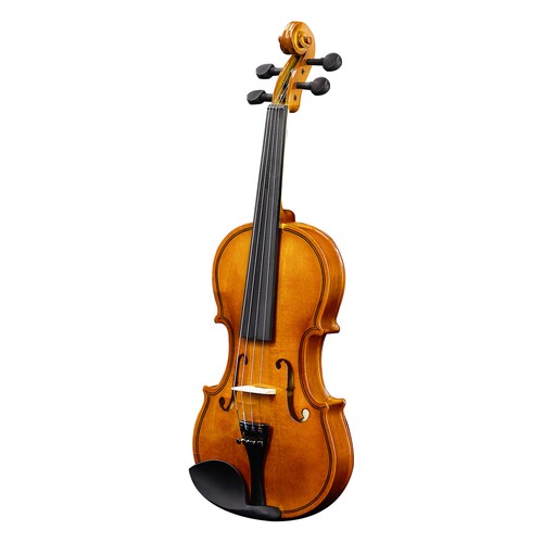 Acoustic violin with - with, hard