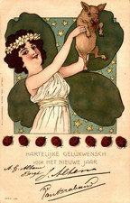 MAIALINI, PORCELETS, PIGLETS -