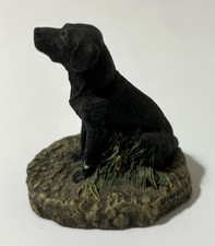 1978 black labrador retriever
