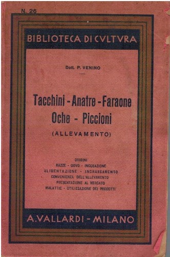 Tacchini anatre faraone - tacchini,