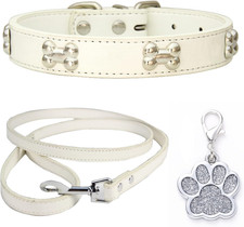 Collare E Guinzaglio per Cani