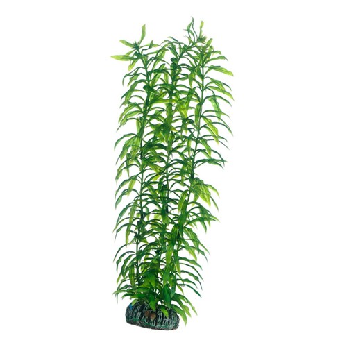 Hobby heteranthera cm - heteranthera, 34