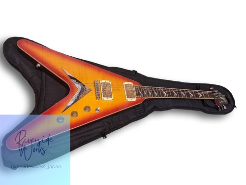Hamer vector - hamer, xt