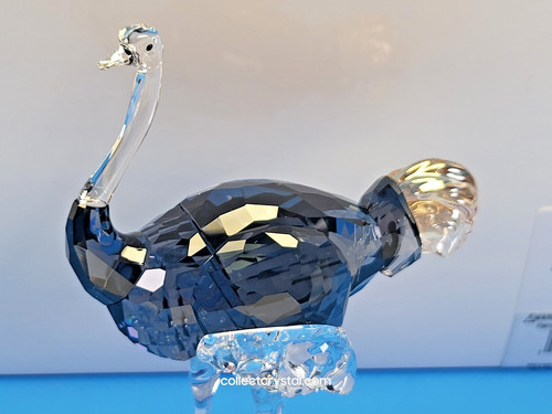 Swarovski scs 2023 eleganza - scs,