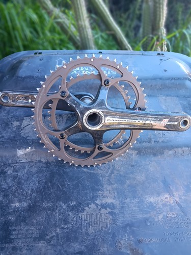 Guarnitura campagnolo record - campagnolo,