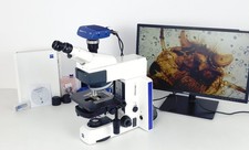 Zeiss Axioscope 5 LED luce passante campo chiaro microscopio 208 fotocamera a colori microscopio