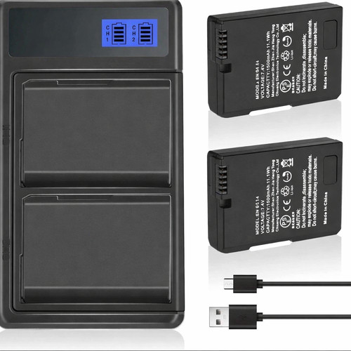 Batteria caricabatterie - 2x,